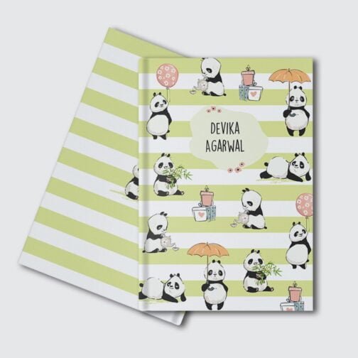 The Panda Play Diary