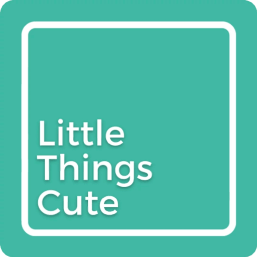 Come shop with us for all the little things cute