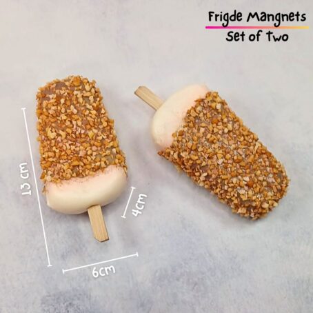 Fridge Magnets